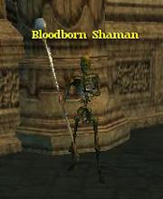 Bloodborn Shaman